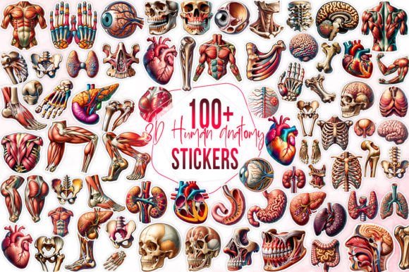 Download 100+ Human Anatomy Stickers Bundle - Man Collection