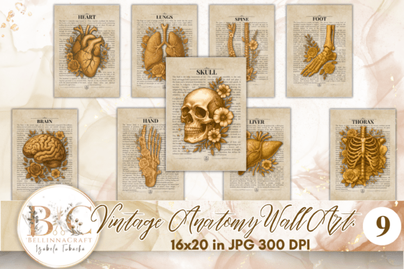 Download Vintage Anatomy Human Body Wall Art Set - Man Collection